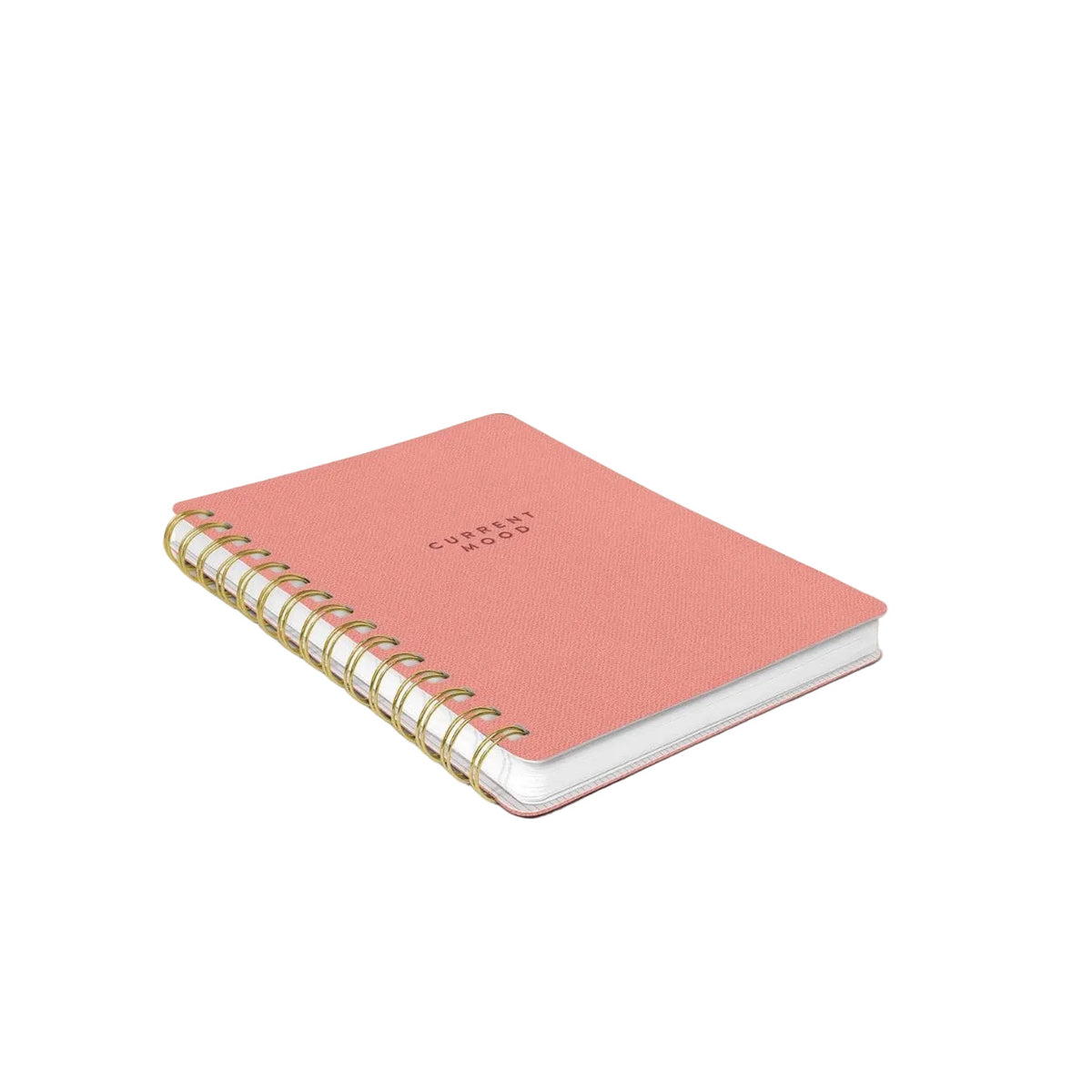 Current Mood Notebook - Joanna A. Boutique