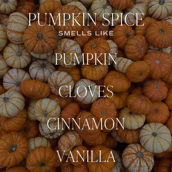 Pumpkin Spice Air Freshener - Joanna A. Boutique