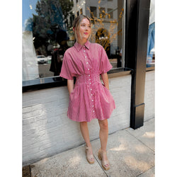 Josilyn Striped Mini Dress - Joanna A. Boutique