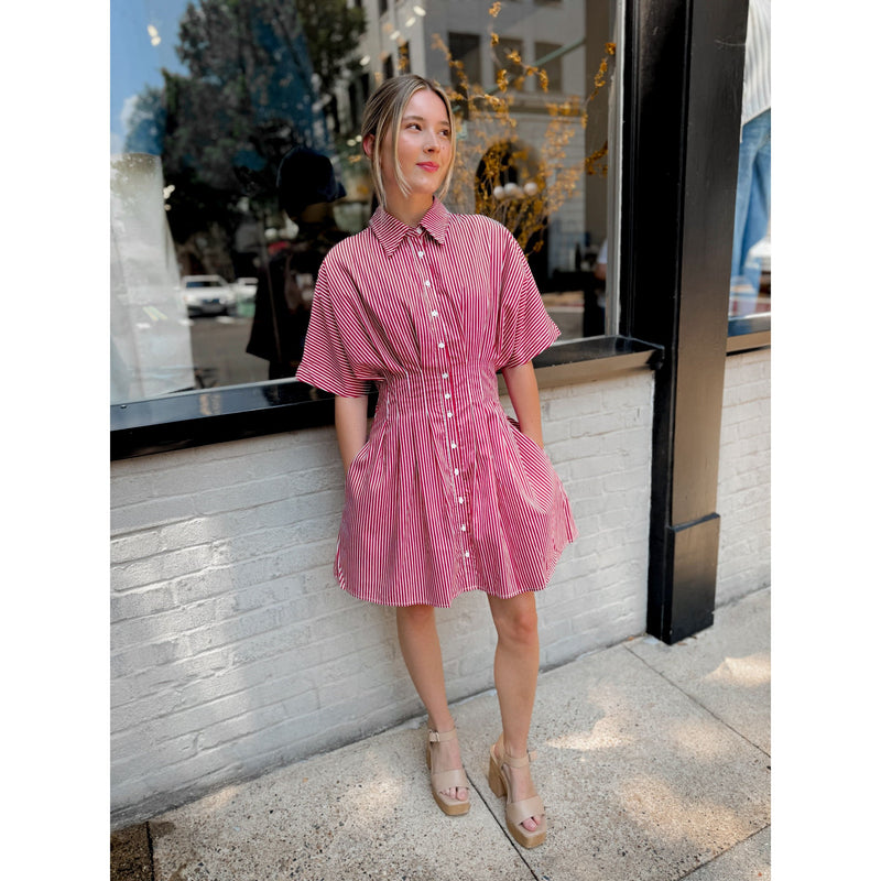 Josilyn Striped Mini Dress - Joanna A. Boutique