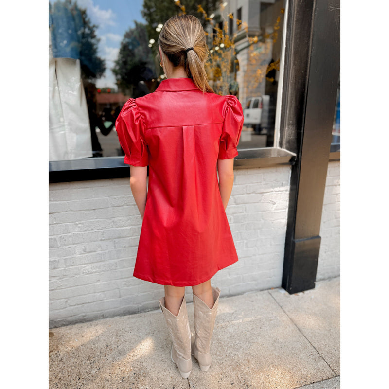 Halley Leather Mini Dress - Joanna A. Boutique