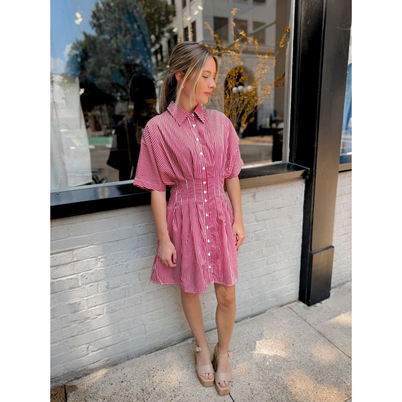 Josilyn Striped Mini Dress - Joanna A. Boutique