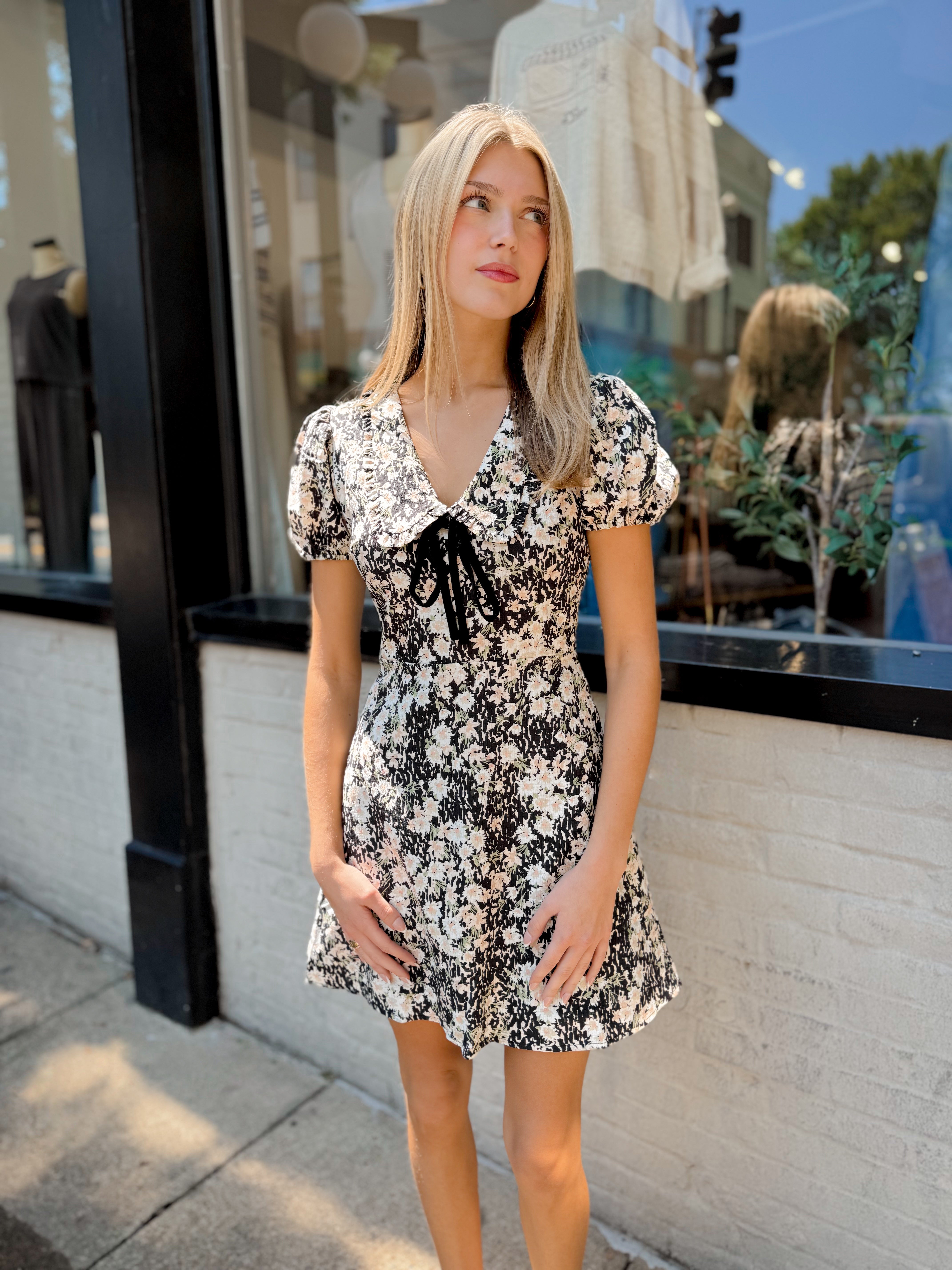 Painted Fields Mini Dress