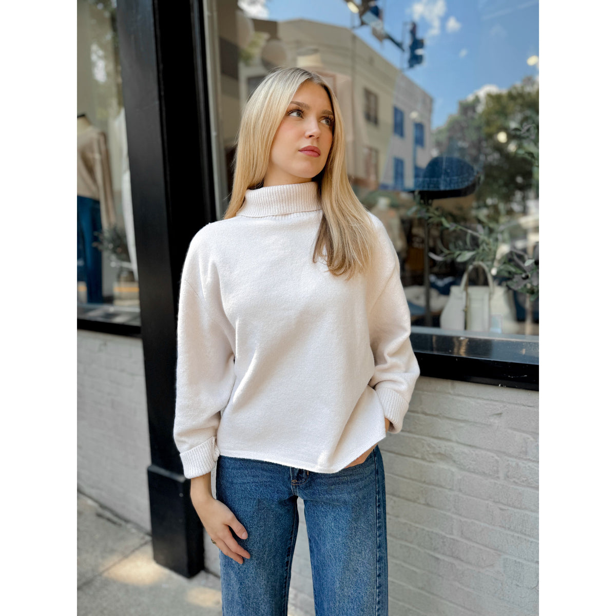 Echo Turtleneck Sweater