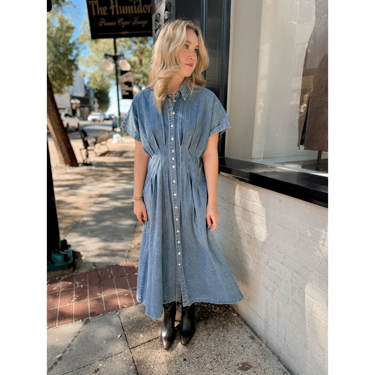 Marianne Denim Dress