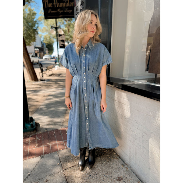 Marianne Denim Dress