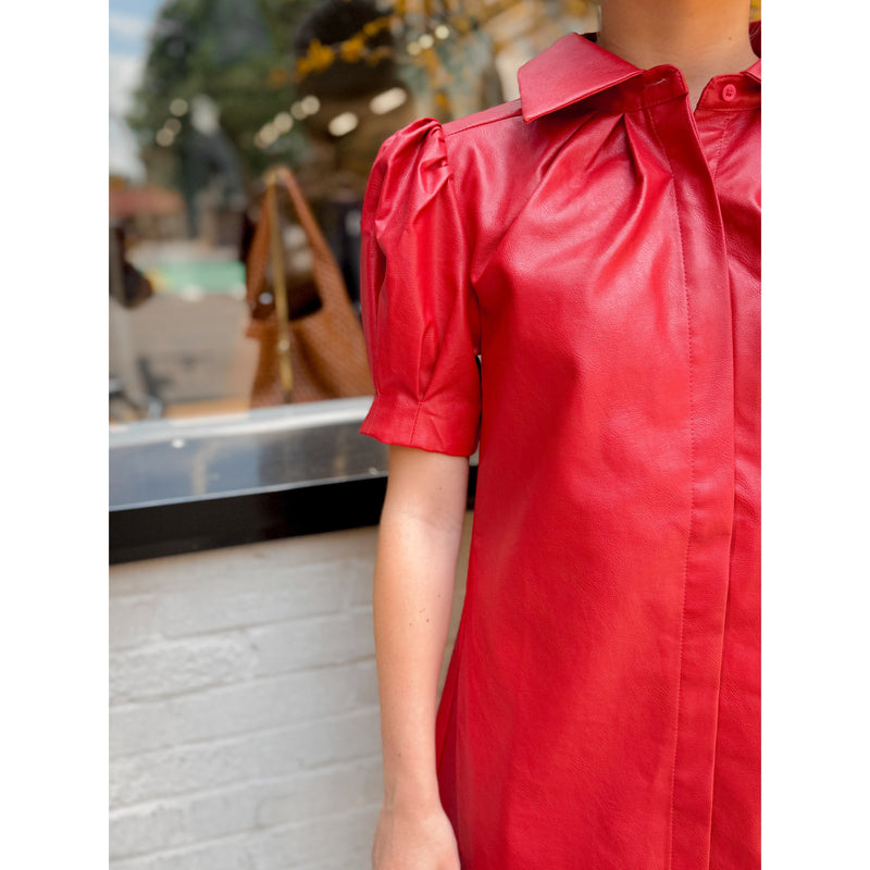 Halley Leather Mini Dress - Joanna A. Boutique
